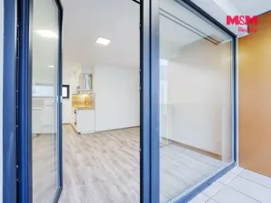 Pronájem bytu 2+kk, Plzeň - Východní Předměstí, Sladová, 54 m2