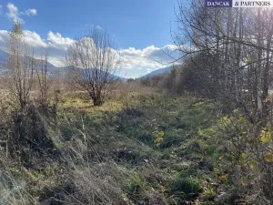 Prodej pozemku pro bydlení, Frýdlant nad Ostravicí, Havlíčkova, 6279 m2
