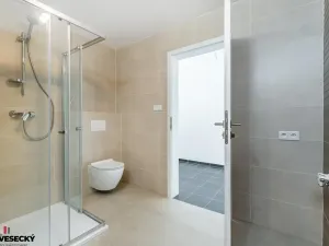 Prodej bytu 1+kk, Plzeň, Železná, 38 m2