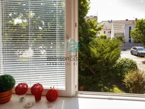 Pronájem bytu 2+1, České Budějovice - České Budějovice 6, Čechova, 58 m2