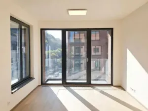 Pronájem bytu 2+kk, Praha - Karlín, Švarcova, 54 m2