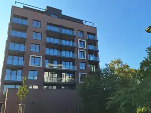 Pronájem bytu 2+kk, Praha - Karlín, Švarcova, 54 m2