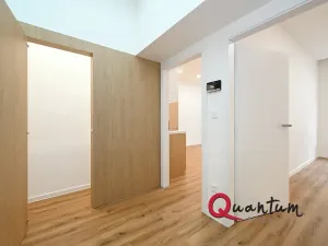 Pronájem bytu 2+kk, Praha - Žižkov, Zelenky-Hajského, 40 m2
