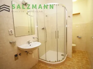 Prodej bytu 1+kk, Plzeň, Na Jíkalce, 40 m2