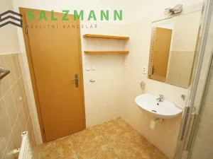 Prodej bytu 1+kk, Plzeň, Na Jíkalce, 40 m2