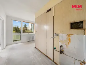 Prodej bytu 2+1, Děčín - Děčín VI-Letná, Za Bažantnicí, 50 m2