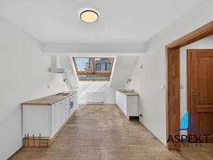 Prodej bytu 3+kk, Praha - Nové Město, Jungmannova, 140 m2