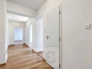 Pronájem bytu 2+1, Kolín, Čechovy sady, 67 m2