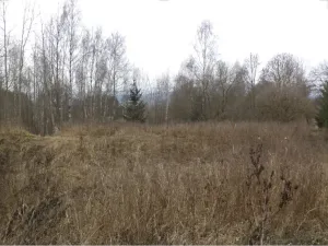 Dražba pozemku, Horní Planá, 1390 m2