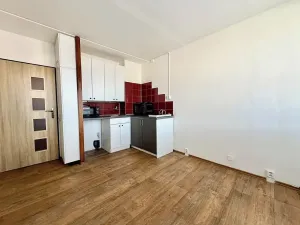 Prodej bytu 2+kk, Litoměřice, Revoluční, 35 m2