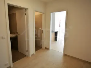 Pronájem bytu 2+kk, Praha, Davídkova, 60 m2
