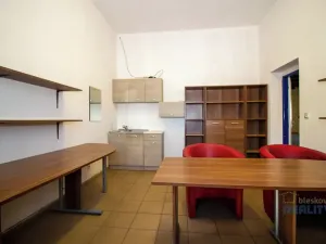 Pronájem výrobních prostor, Brandýs nad Labem-Stará Boleslav, 525 m2