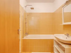 Pronájem bytu 3+kk, Benešov, U Pivovaru, 63 m2