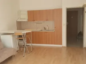 Pronájem bytu 1+kk, Liberec, Jeronýmova, 36 m2
