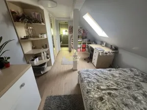 Prodej rodinného domu, Ústí nad Labem, 1. máje, 250 m2