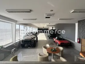 Pronájem obchodního prostoru, Pohořelice, 3700 m2