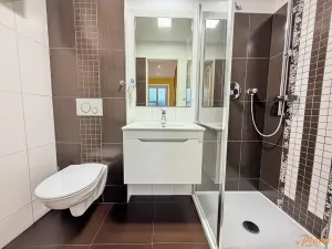 Pronájem bytu 2+1, Holubice, V Průhonu, 50 m2