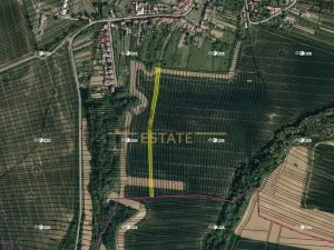 Prodej podílu pole, Vřesovice, 1646 m2