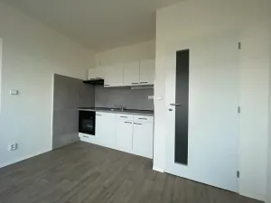 Pronájem bytu 1+1, Ústí nad Labem, Pod Parkem, 35 m2