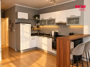 Pronájem bytu 1+kk, Kladno, Moskevská, 34 m2