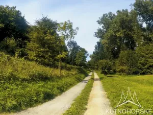 Prodej zahrady, Strenice, 1707 m2