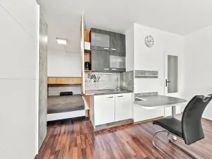 Prodej bytu 1+kk, Ústí nad Labem, Vinařská, 32 m2