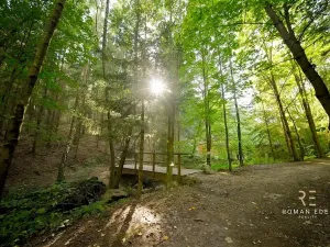 Prodej rodinného domu, Doubravčice, Lázná, 107 m2
