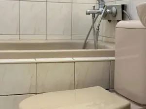 Pronájem bytu 1+kk, Průhonice, U Křížku, 35 m2