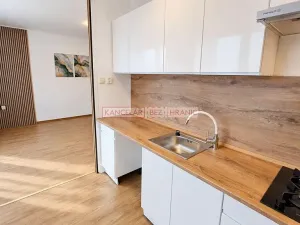 Pronájem bytu 1+kk, Praha - Nusle, Boleslavova, 35 m2