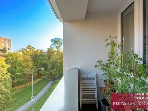 Pronájem bytu 2+1, Olomouc, Vojanova, 47 m2