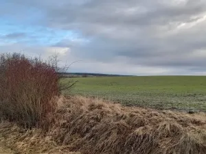 Prodej sadu/vinice, Malý Újezd, 7862 m2