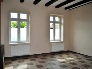 Prodej vícegeneračního domu, Roudnice nad Labem, Špindlerova třída, 783 m2
