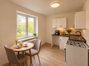 Pronájem bytu 1+1, Litvínov, Podkrušnohorská, 30 m2