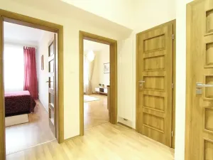 Pronájem bytu 2+kk, Praha - Žižkov, Zelenky-Hajského, 40 m2