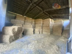 Prodej výrobních prostor, Dívčí Hrad, 4972 m2