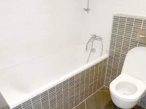 Pronájem bytu 2+kk, Praha - Žižkov, Olšanská, 61 m2