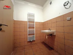 Prodej obchodního prostoru, Libušín, Přemyslova, 46 m2
