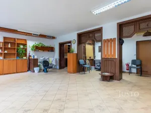 Pronájem komerční nemovitosti, Uherské Hradiště, Josefa Stancla, 54 m2