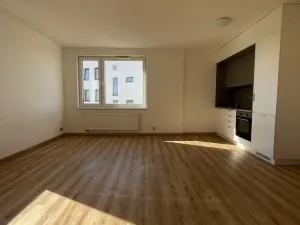 Pronájem bytu 1+kk, České Budějovice, České Vrbné, 40 m2