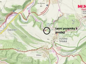 Prodej louky, Vysoká Srbská, 26090 m2