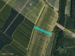 Prodej podílu pole, Mistřice, 2899 m2