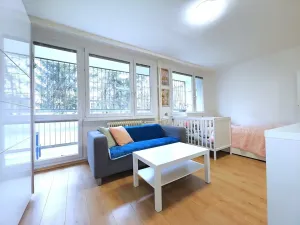 Pronájem bytu 1+1, Čelákovice, Rumunská, 41 m2