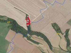Prodej lesa, Mečeříž, 10300 m2