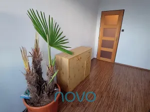 Pronájem bytu 3+kk, Praha - Chodov, Bohúňova, 76 m2