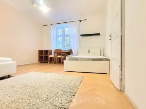 Pronájem bytu 1+1, Brno, Kartouzská, 46 m2