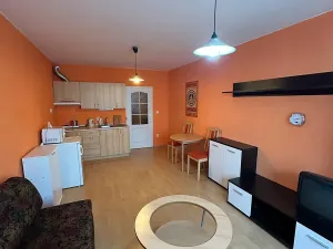 Pronájem bytu 1+kk, Praha - Krč, Štúrova, 30 m2