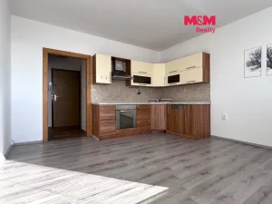 Pronájem bytu 2+kk, Ústí nad Labem, Šrámkova, 40 m2