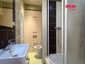 Pronájem bytu 2+kk, Ústí nad Labem, Šrámkova, 40 m2