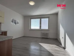 Pronájem bytu 2+kk, Ústí nad Labem, Šrámkova, 40 m2