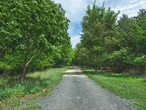 Prodej chaty, Býchory, 35 m2